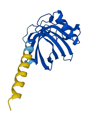 Pbsn 3D structure
