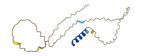 Smr2 3D structure