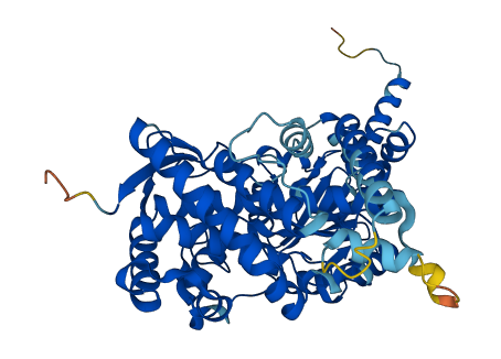 Cyp3a25 3D structure