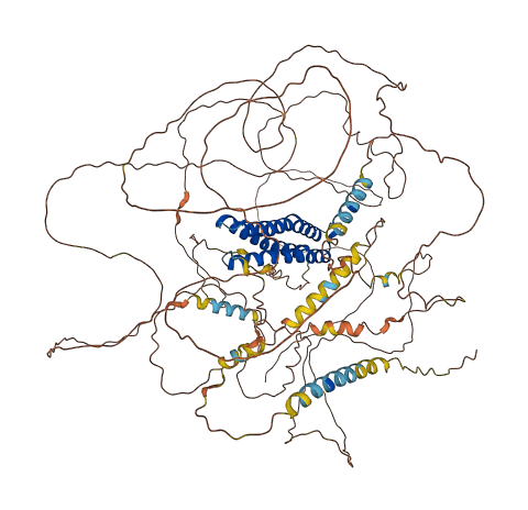 DLGAP1 3D structure