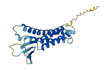 CLDN4 3D structure