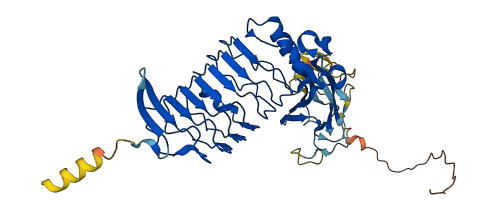 ISLR 3D structure