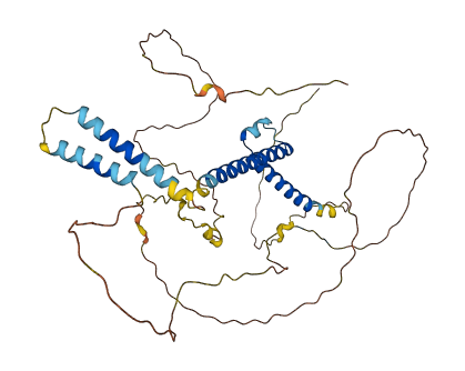 BHLHE40 3D structure