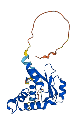 SOCS2 3D structure