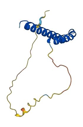 CDK2AP1 3D structure