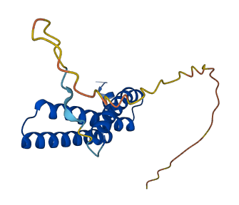 SDHD 3D structure