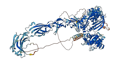 PTPRT 3D structure