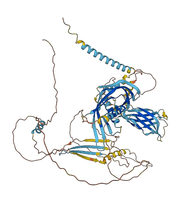 C2CD2L 3D structure