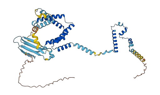 NEMP1 3D structure