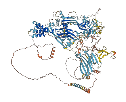 ASTN1 3D structure
