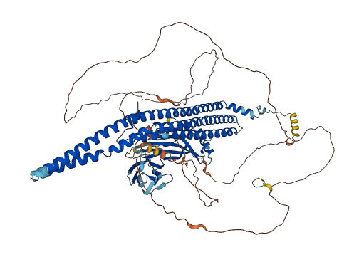 FCHO1 3D structure
