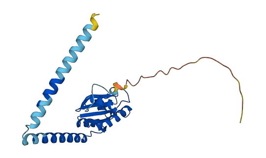 TXNDC9 3D structure