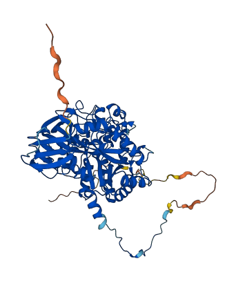 DPYSL4 3D structure