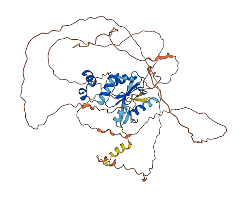 SOCS6 3D structure