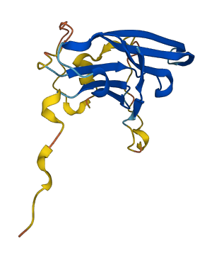 HSPB6 3D structure