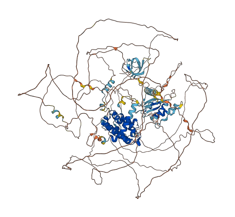 ARHGAP33 3D structure
