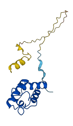NDUFAB1 3D structure
