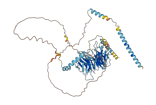 DYNC1I1 3D structure