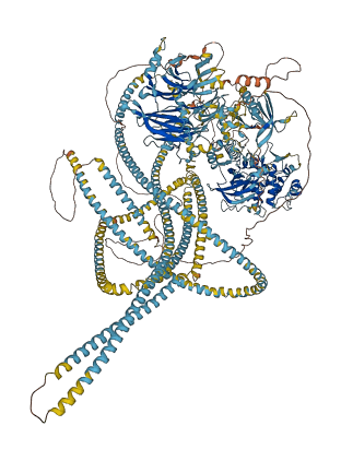 CIT 3D structure