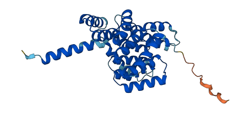 COPE 3D structure