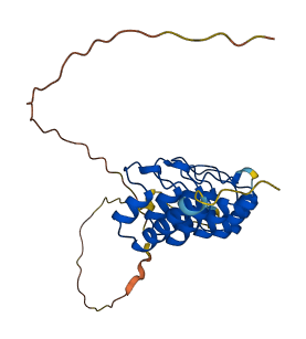 RFXANK 3D structure