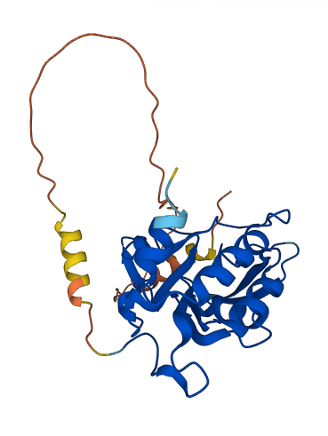 CTDSP2 3D structure