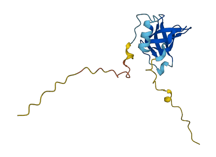 EIF1AY 3D structure