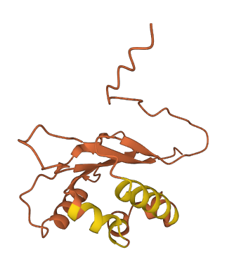 PRY 3D structure