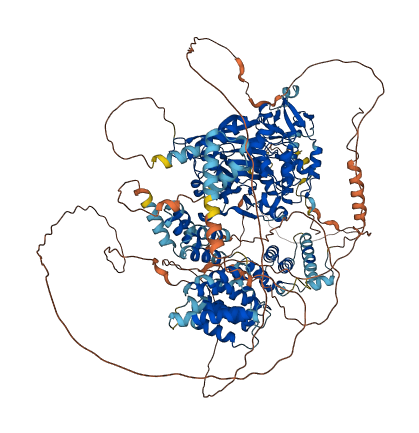UTY 3D structure