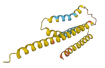 XKRY 3D structure