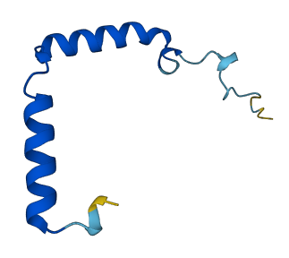 GNGT2 3D structure