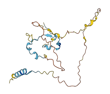CDC42EP2 3D structure