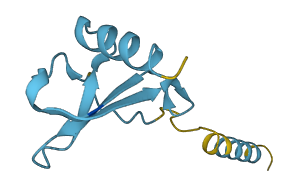 CXCL11 3D structure
