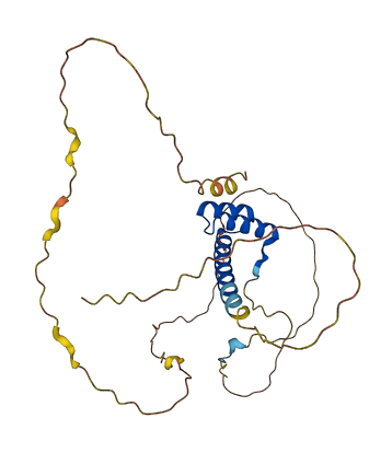 CDX4 3D structure