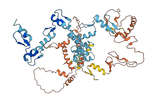ZNF195 3D structure