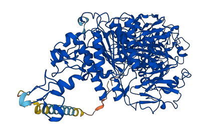 ENPP3 3D structure