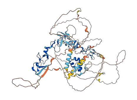 ABLIM1 3D structure