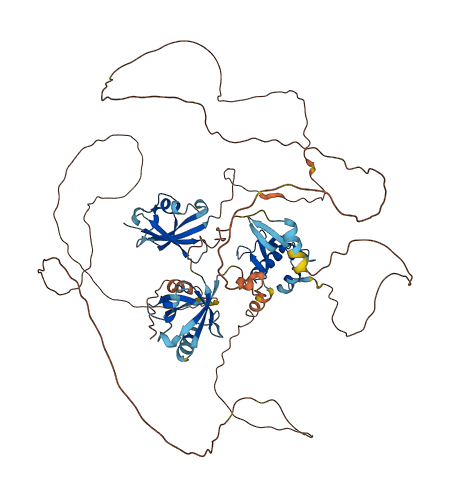 DVL1 3D structure