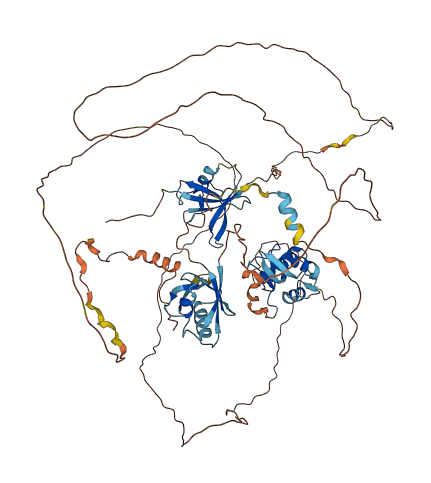 DVL2 3D structure
