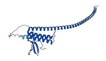 DNALI1 3D structure