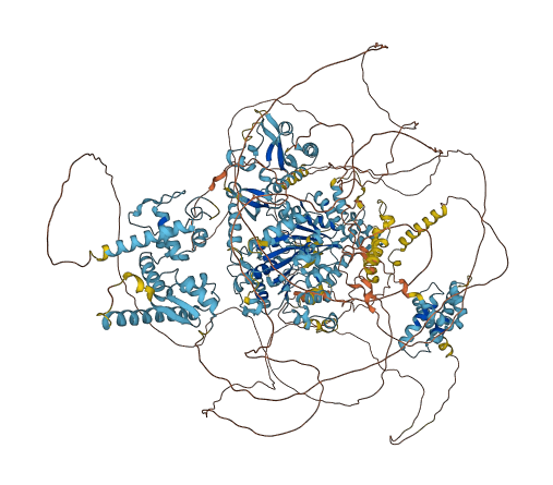 CHD2 3D structure
