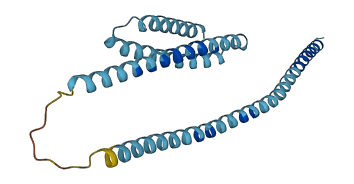 GOSR2 3D structure
