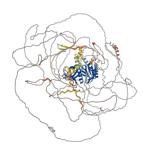 IRS4 3D structure
