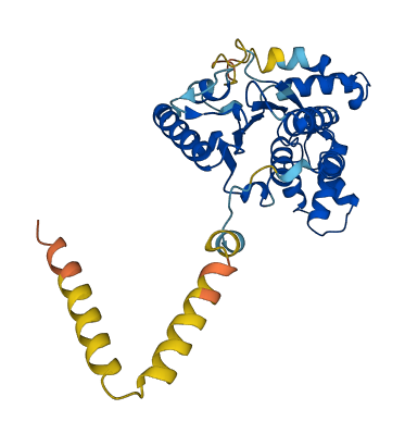 TOR1B 3D structure