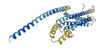 STX16 3D structure