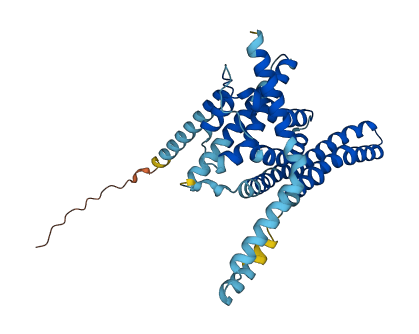 EI24 3D structure