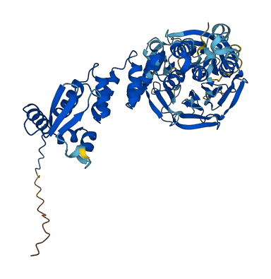 ENC1 3D structure