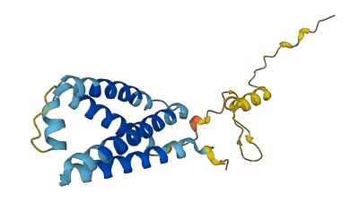 TP53I11 3D structure