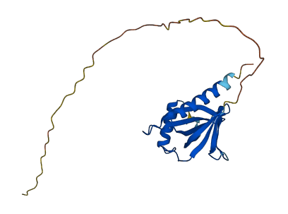 ITGB1BP1 3D structure