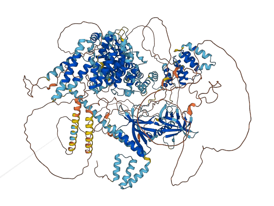 RGPD8 3D structure
